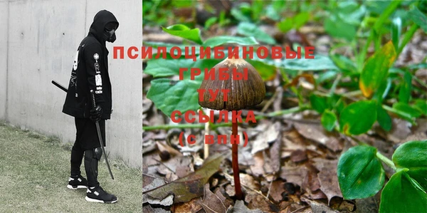 а пвп мука Баксан