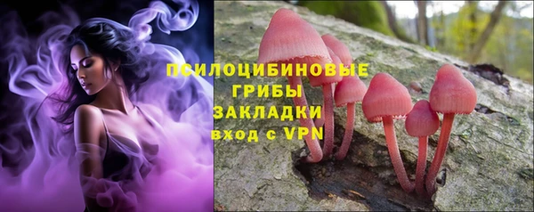 а пвп мука Баксан