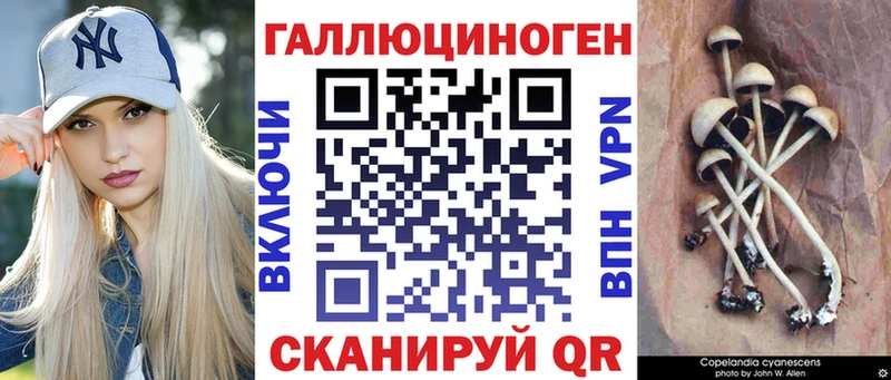 Купить где  Буйнакск  Псилоцибиновые грибы ЛСД 